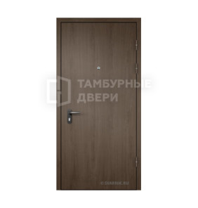 Дверь в тамбур ТД-10